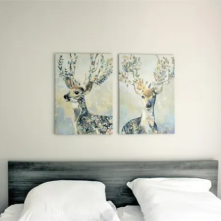 Rosa, App 1 Lejlighed